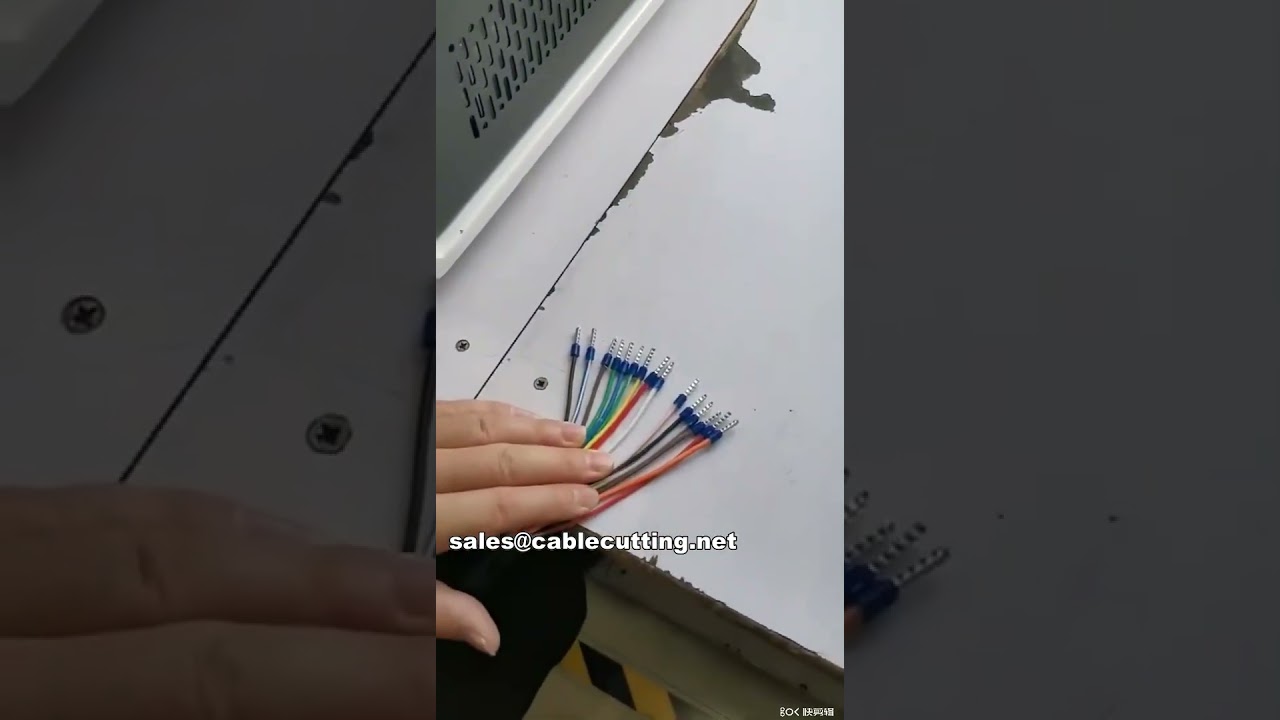Αυτόματη Μηχανή Απογύμνωσης και Πτύχωσης Προμονωμένων Τερματικών WPM-5-40