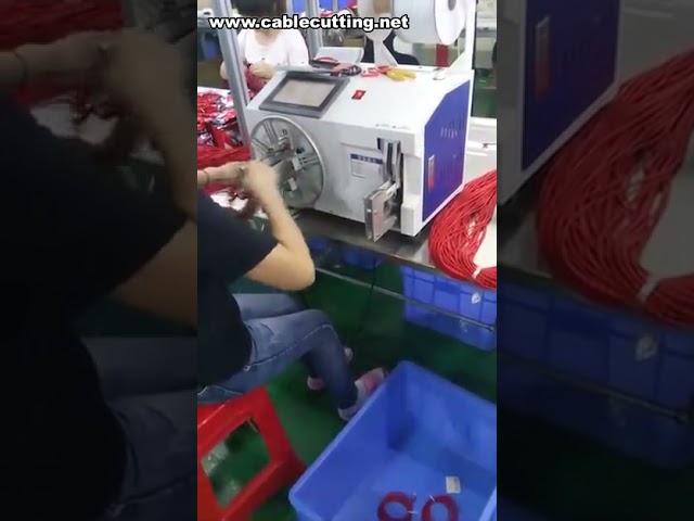 Automatic Wire Winding Machine,Iron Wire Tie Machine,Loop Tie Wire Machine